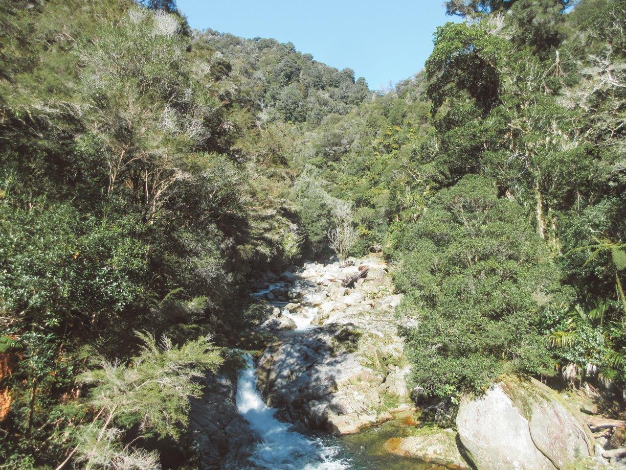 jana meerman wainui falls abel tasman national park new zealand (1)