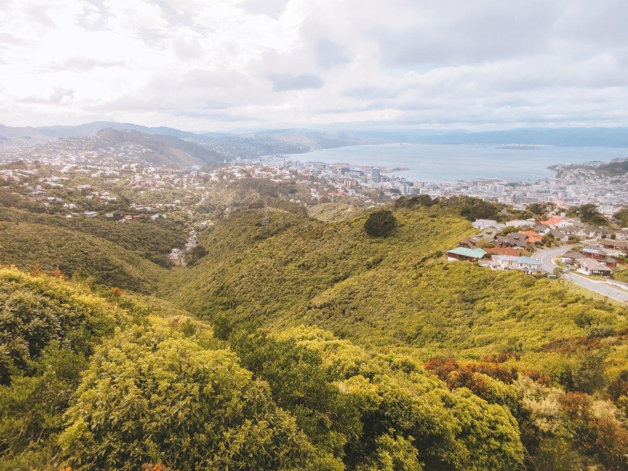jana meerman brooklyn army bunkers wellington (2)