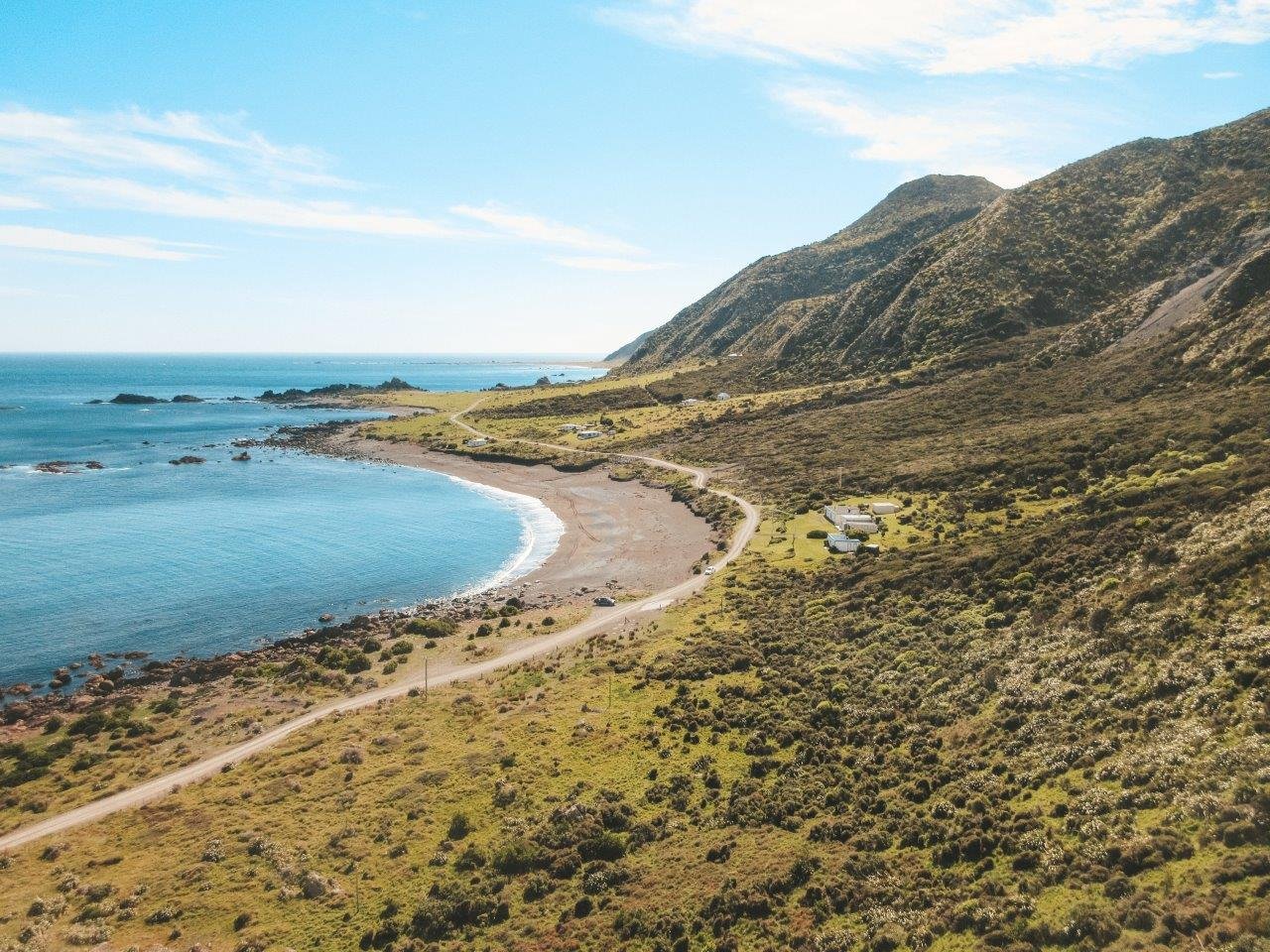 jana meerman cape palliser wairarapa (2)