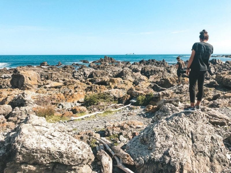 Hiking the Red Rocks Reserve in Wellington, New Zealand | Jana Meerman