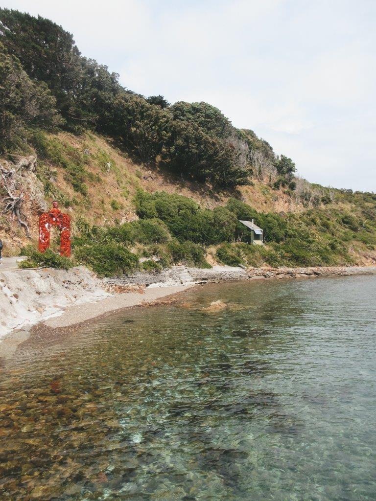 jana meerman matiu somes island wellington (14)