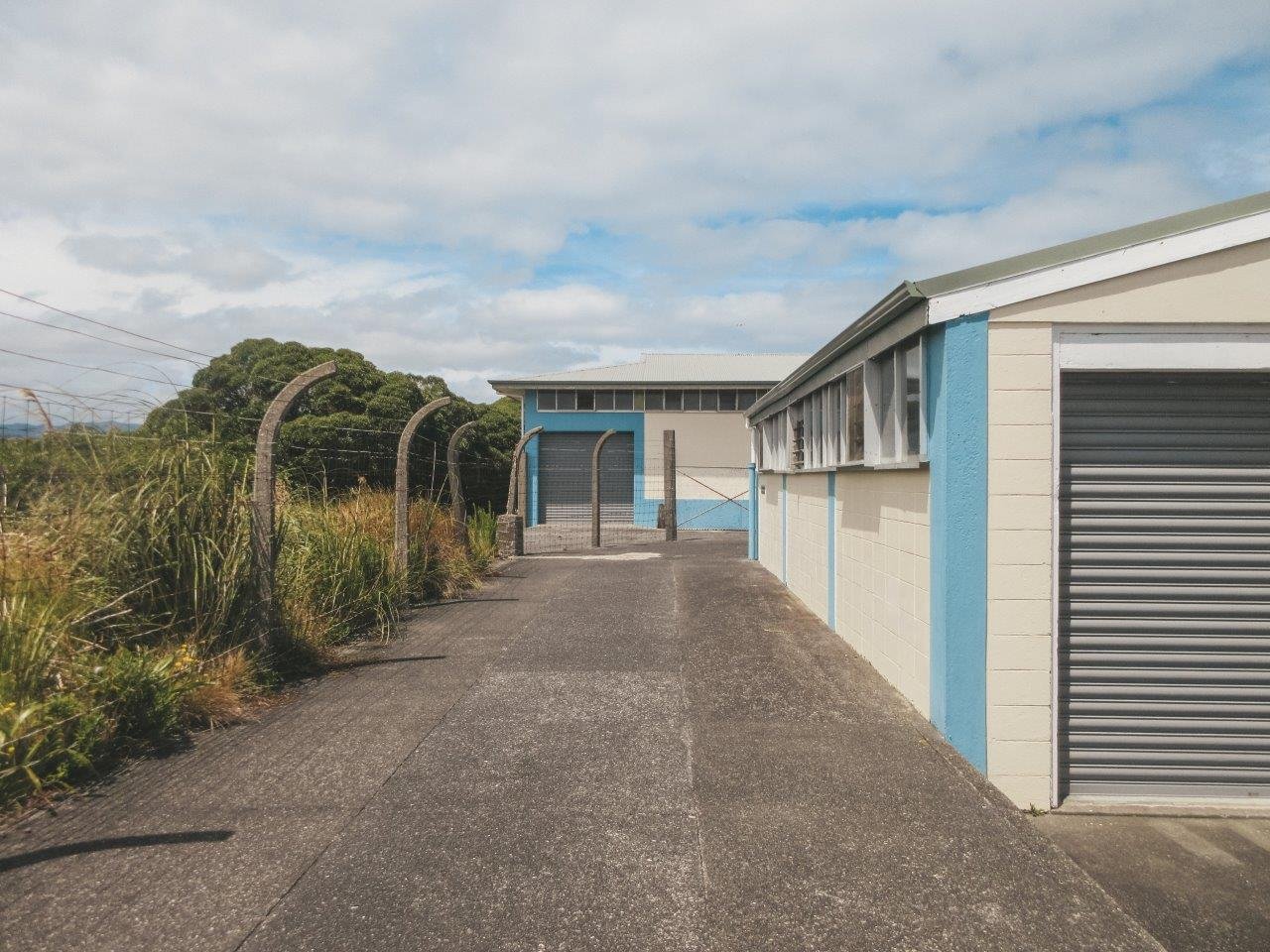 jana meerman matiu somes island wellington (17)