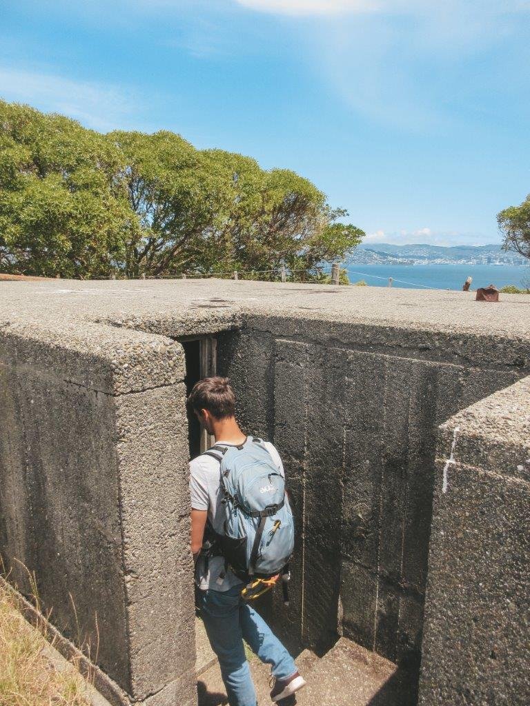 jana meerman matiu somes island wellington (20)