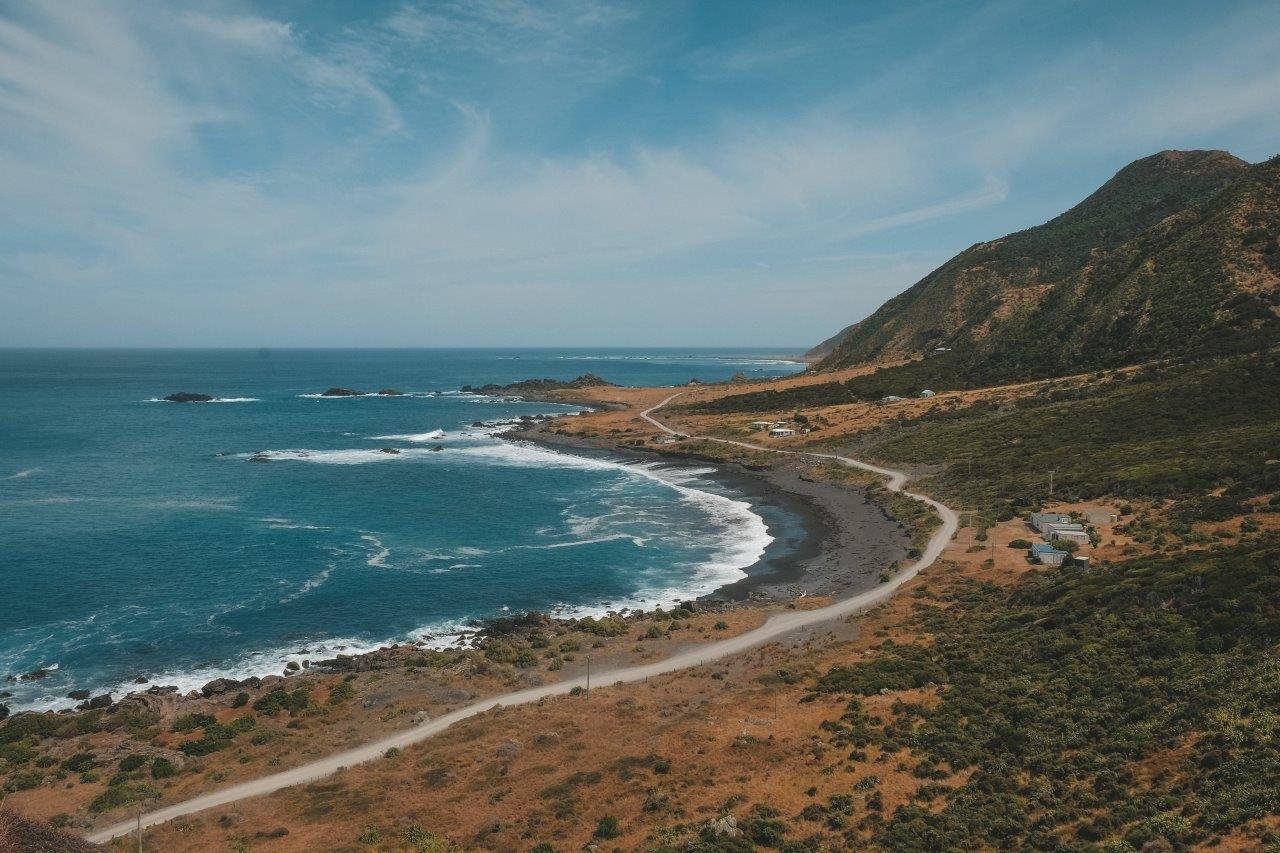 jana meerman cape palliser (1)