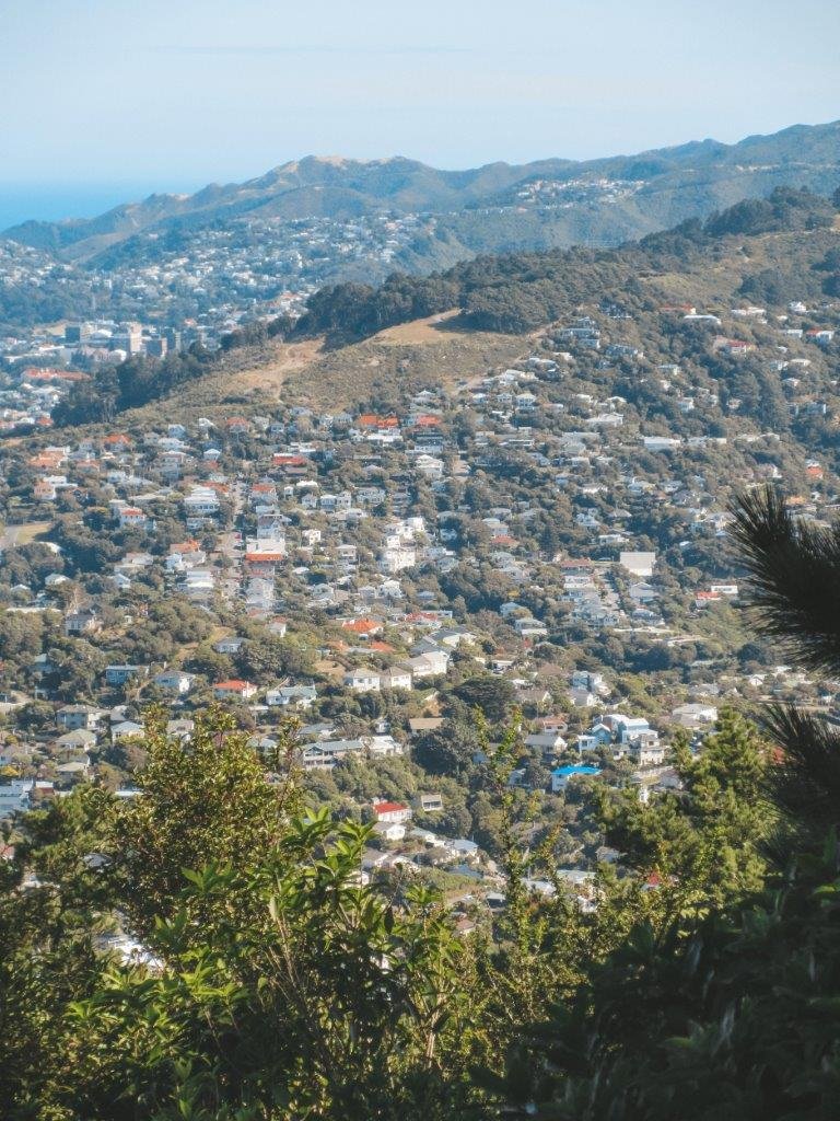 jana meerman mount kaukau (1)