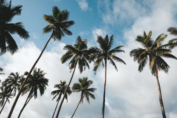 A Guide to Things to Do on Savai'i, Samoa | Jana Meerman