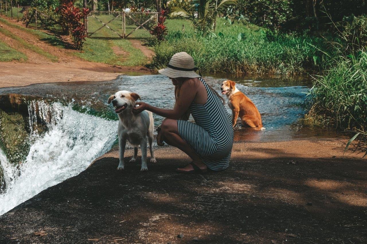 jana meerman dave parker eco lodge samoa (1)