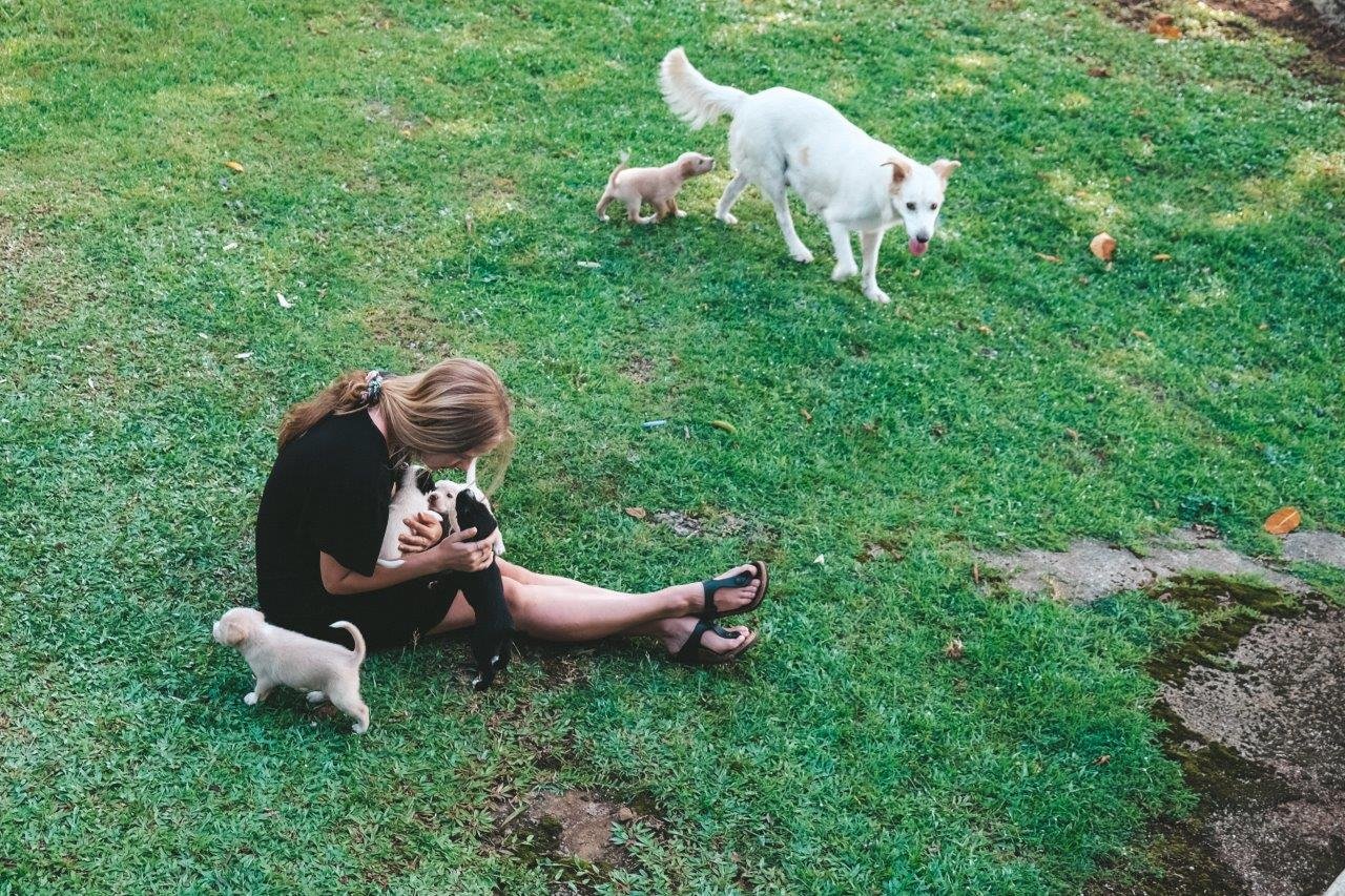 jana meerman dave parker eco lodge samoa (8)