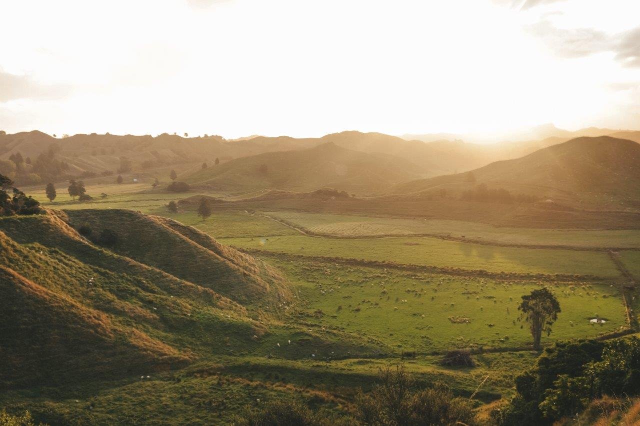 jana meerman forgotten world highway new zealand (1)