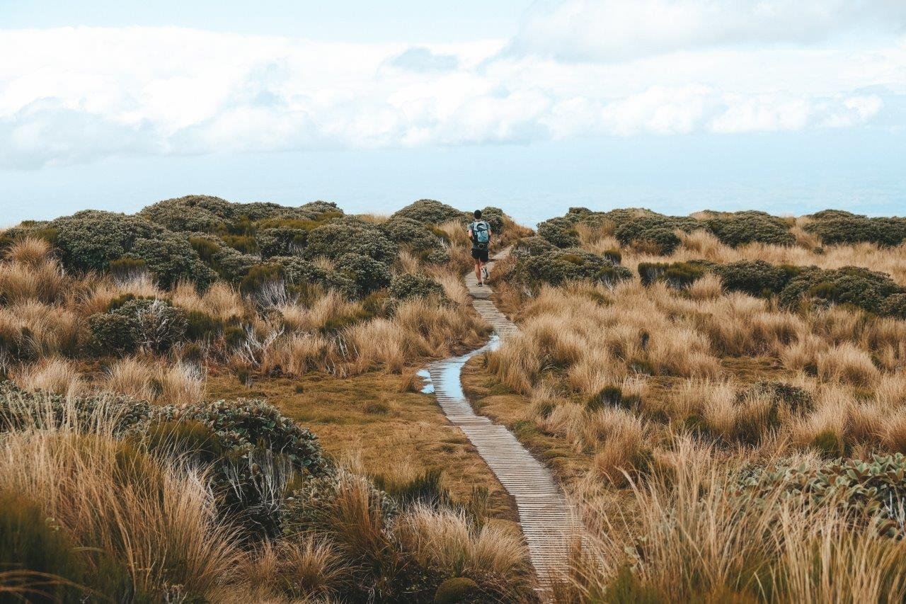 jana meerman pouakai reflective tarn hike taranaki (2)