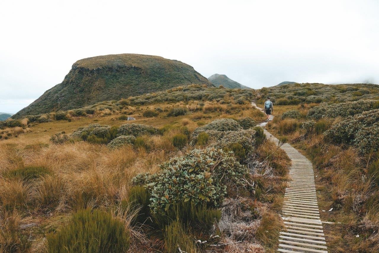 jana meerman pouakai reflective tarn hike taranaki (2)