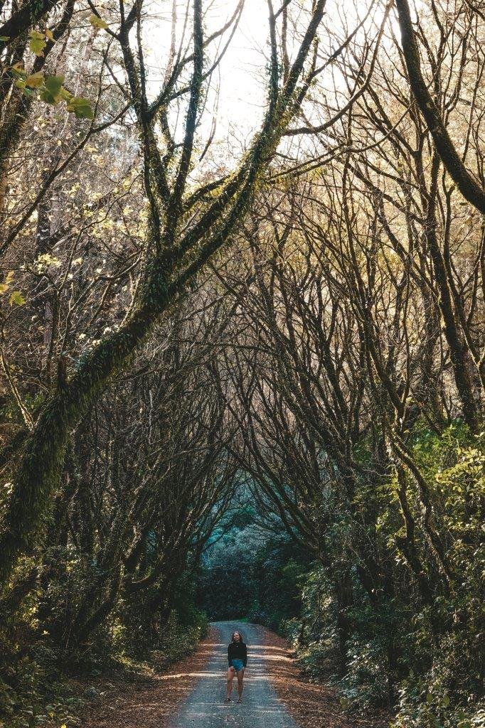 jana meerman waiohine gorge (2)