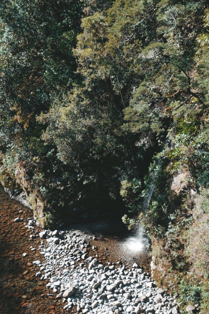 jana meerman waiohine gorge carterton (4)