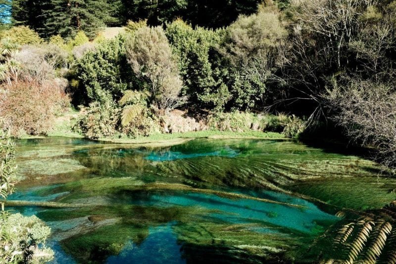 7 Free Things to Do in Rotorua, New Zealand | Jana Meerman