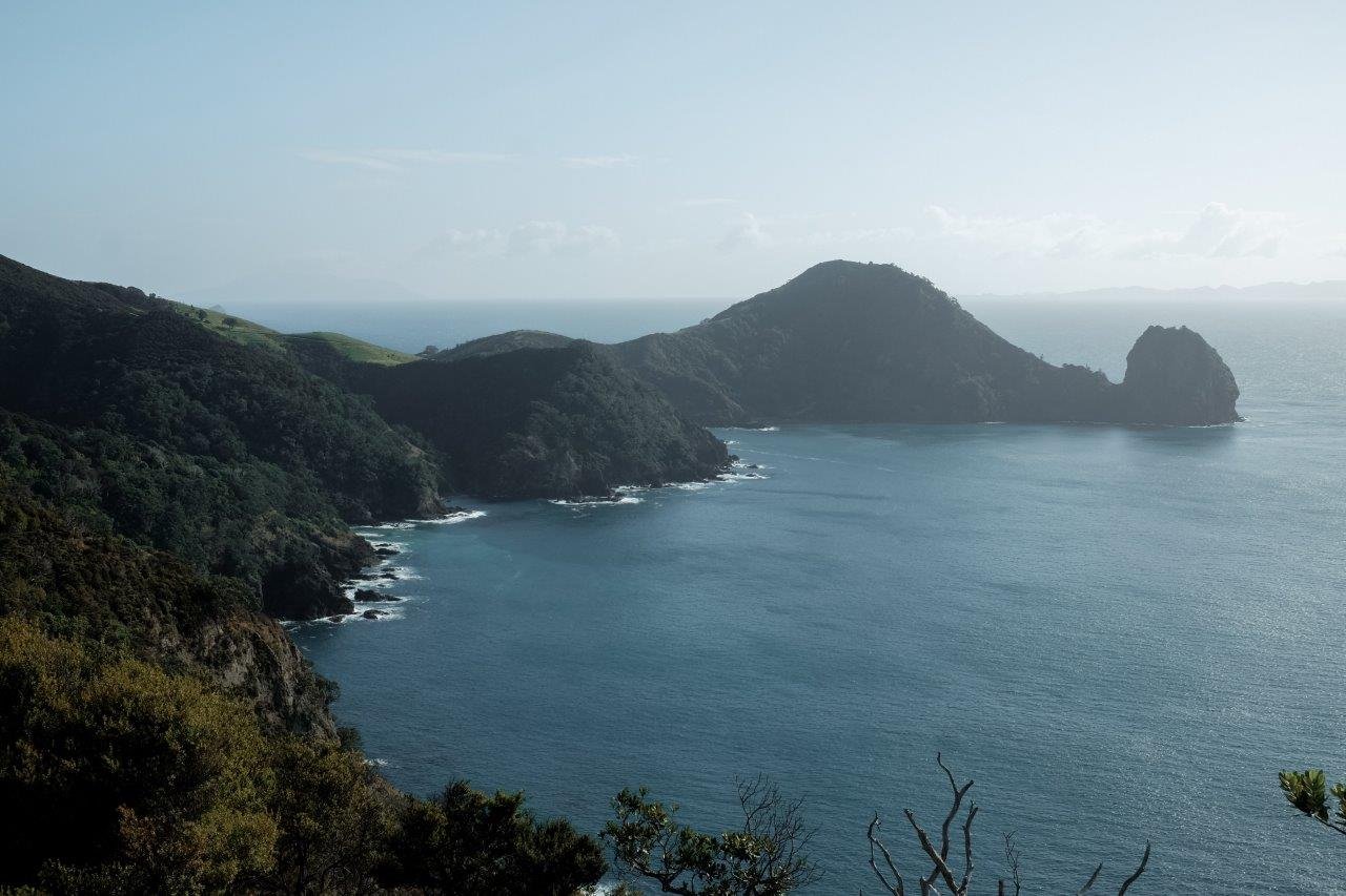 Coromandel Coastal Walkway Hike