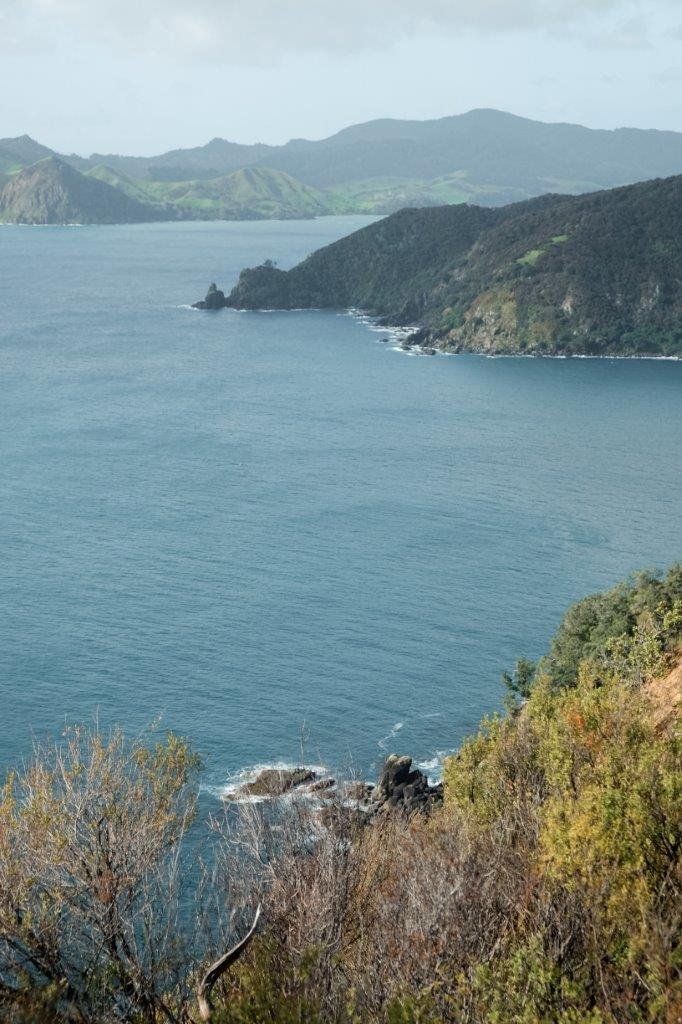 jana meerman coromandel coastal walkway (1)