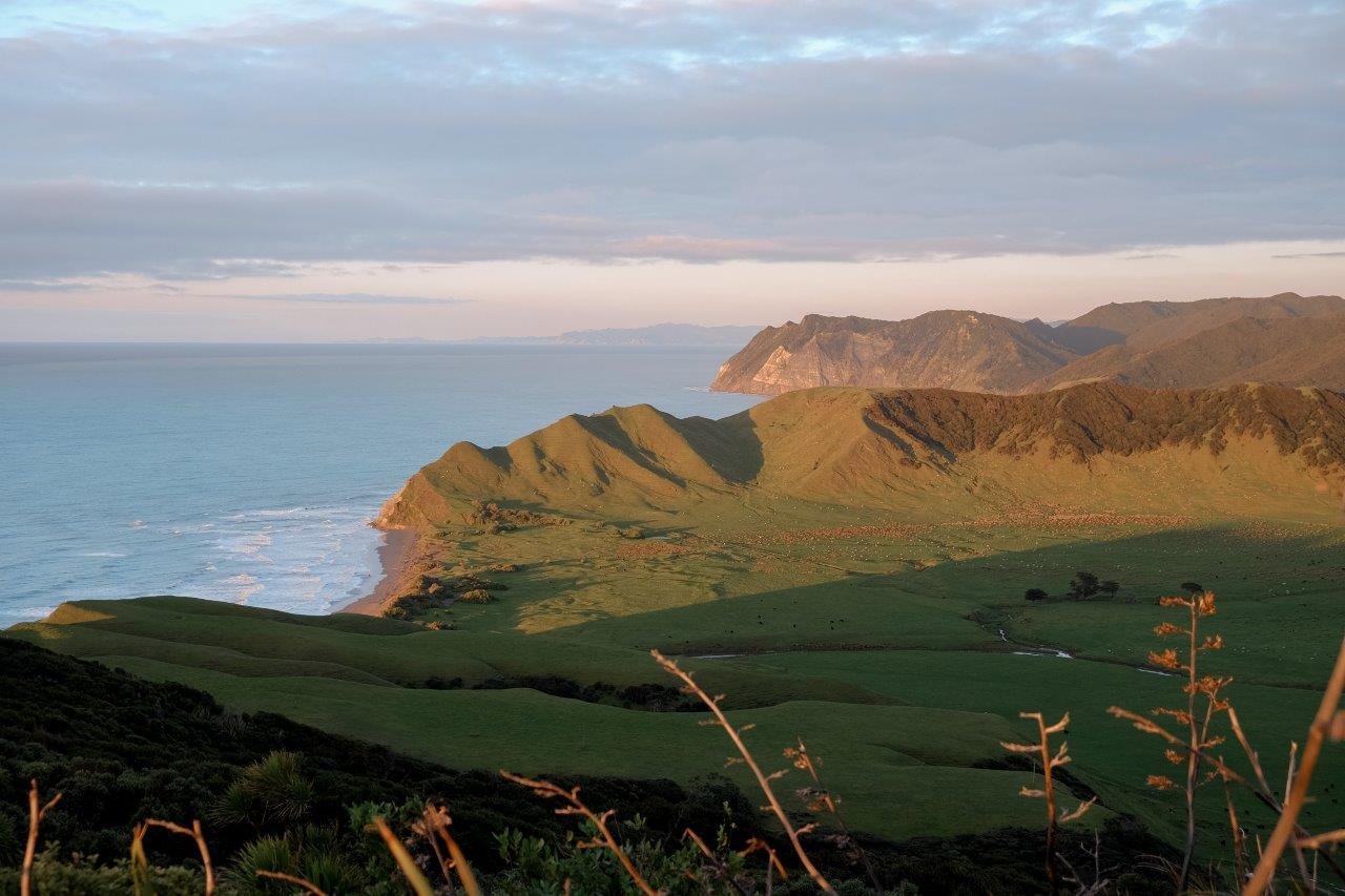 jana meerman first sunrise east cape (5)