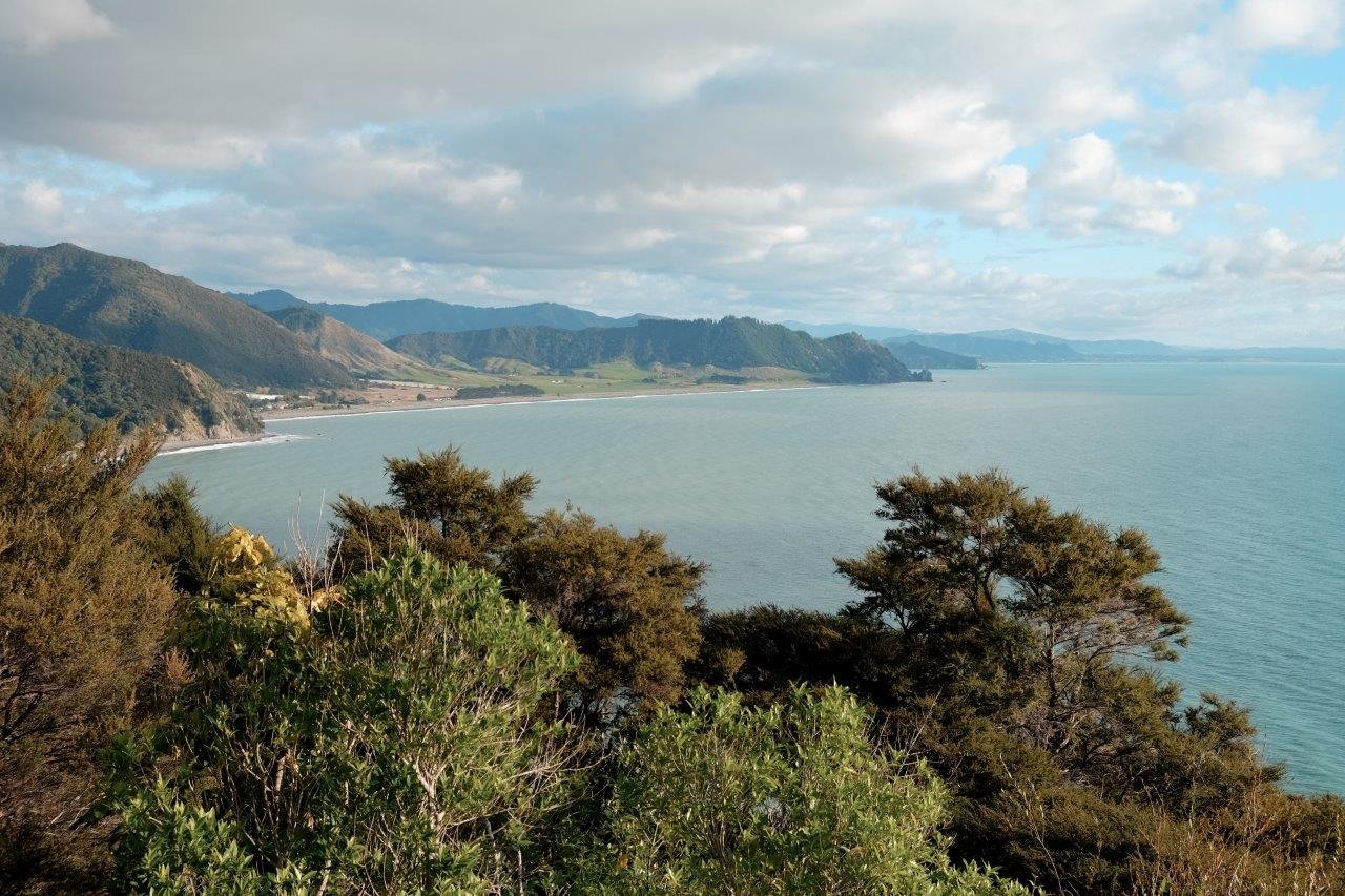 jana meerman gisborne peninsula opotiki (1)