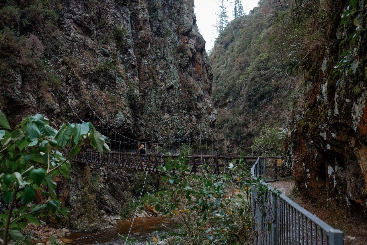 jana meerman karangahake gorge (2)