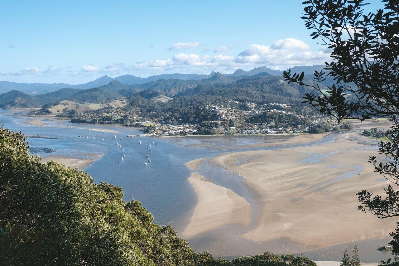 jana meerman paku hill coromandel (1)