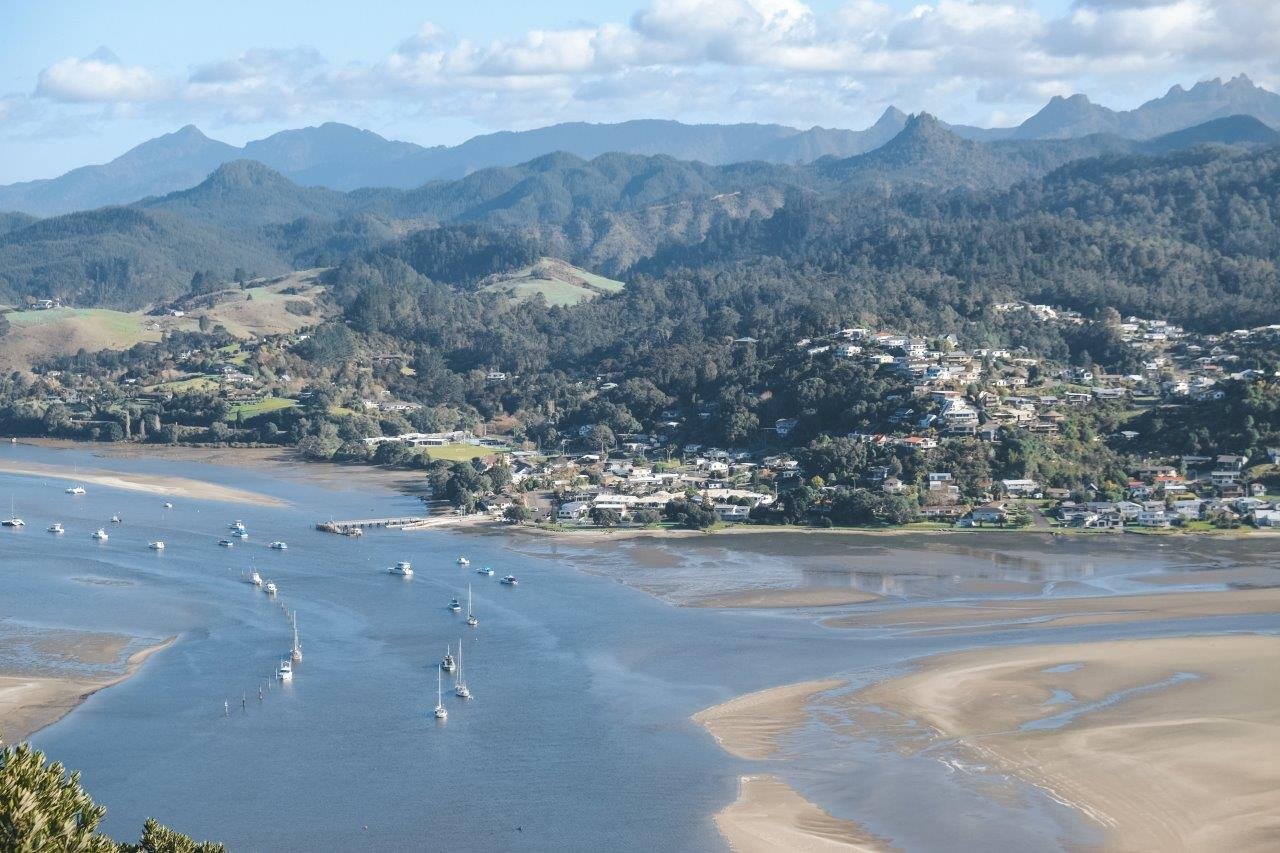 jana meerman paku hill coromandel (2)