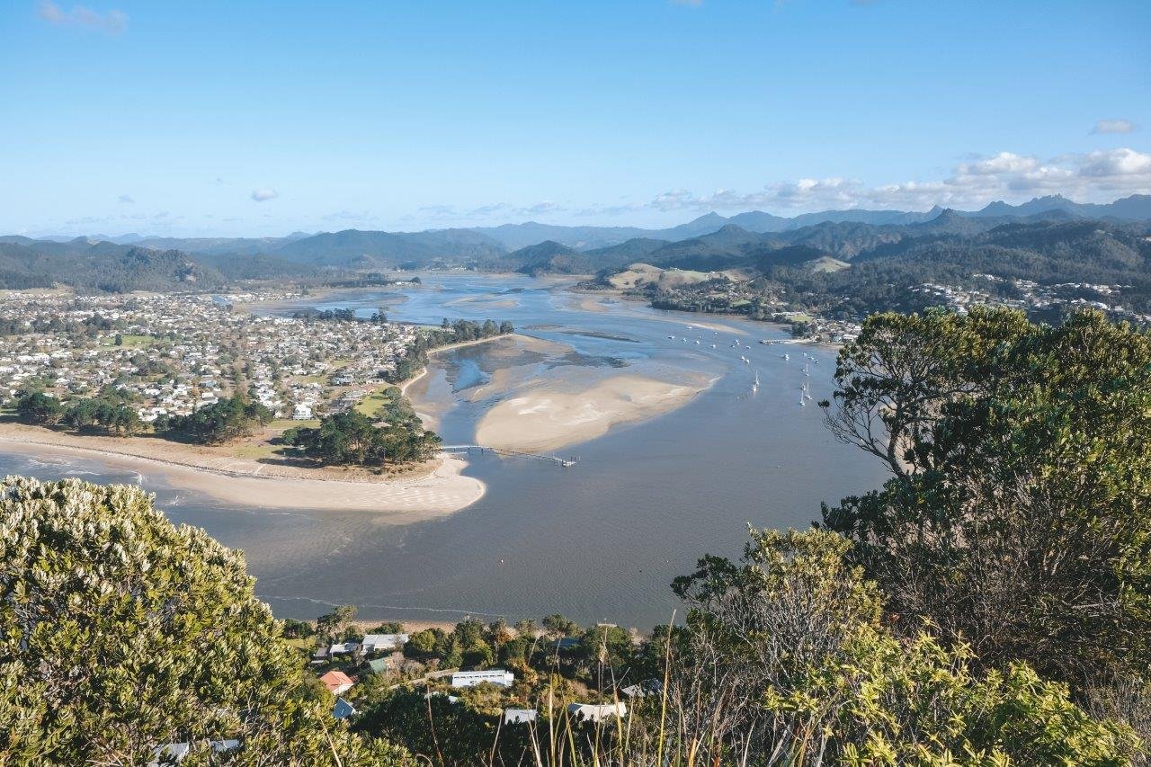 jana meerman paku hill coromandel (1)