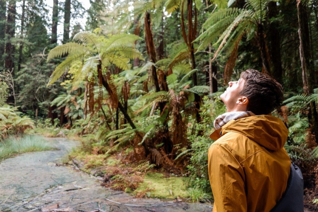 jana meerman the redwoods rotorua (1)