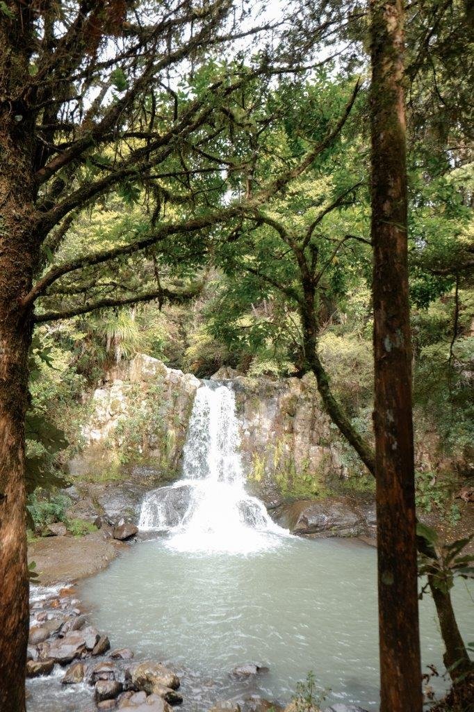 jana meerman waiau falls coromandel (1)