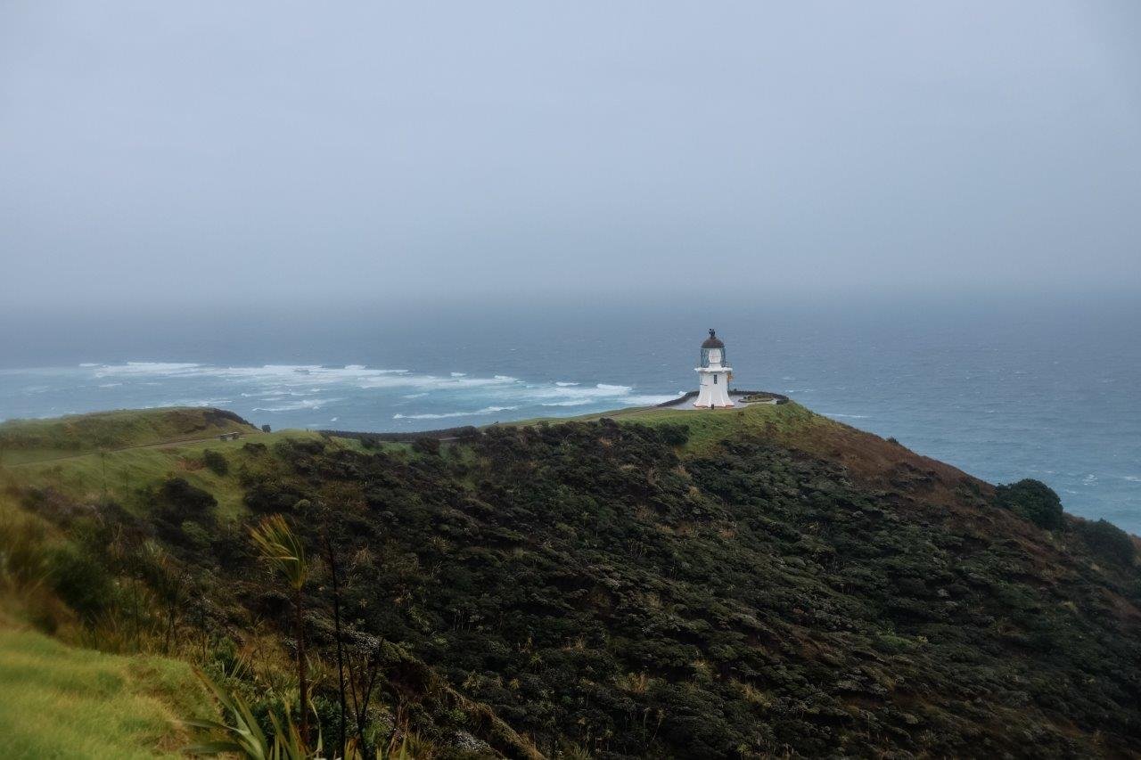 are dogs allowed at cape reinga