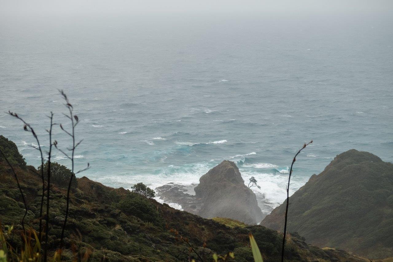 jana meerman cape reinga new zealand (1)