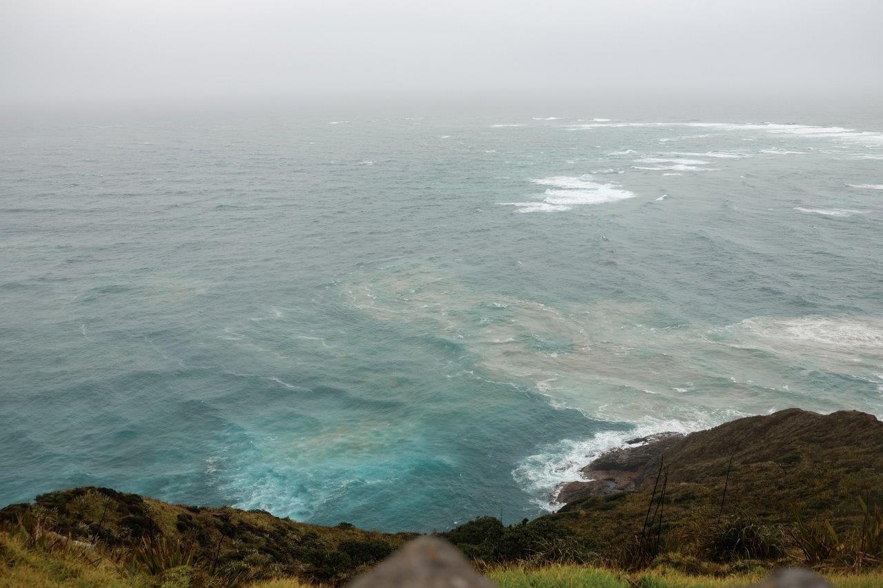 jana meerman cape reinga new zealand (1)