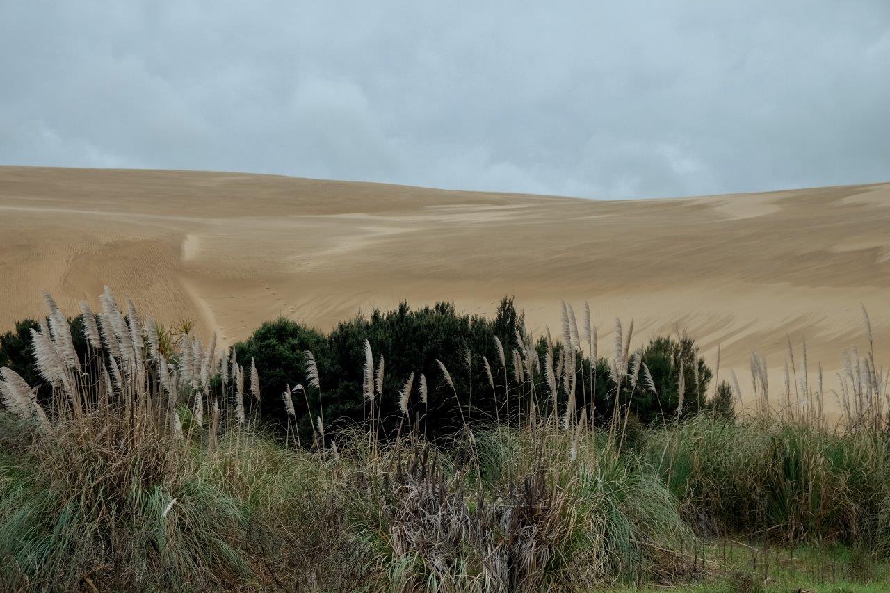 jana meerman great sand dunes new zealand