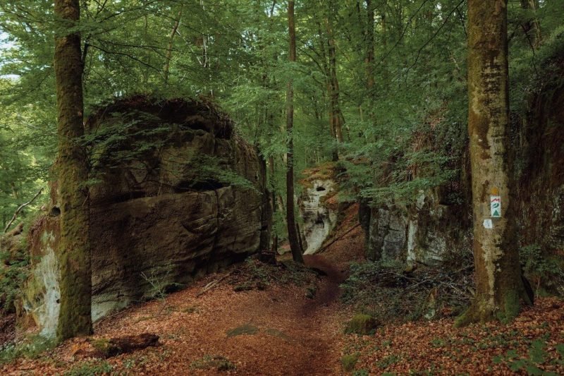 Mullerthal Trail to Hohllay Cave Hike in Luxembourg | Jana Meerman