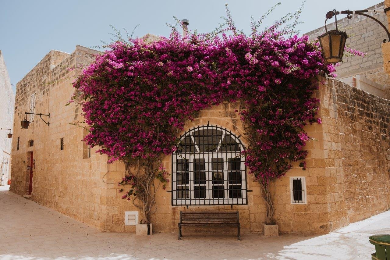 jana meerman mdina malta (3)