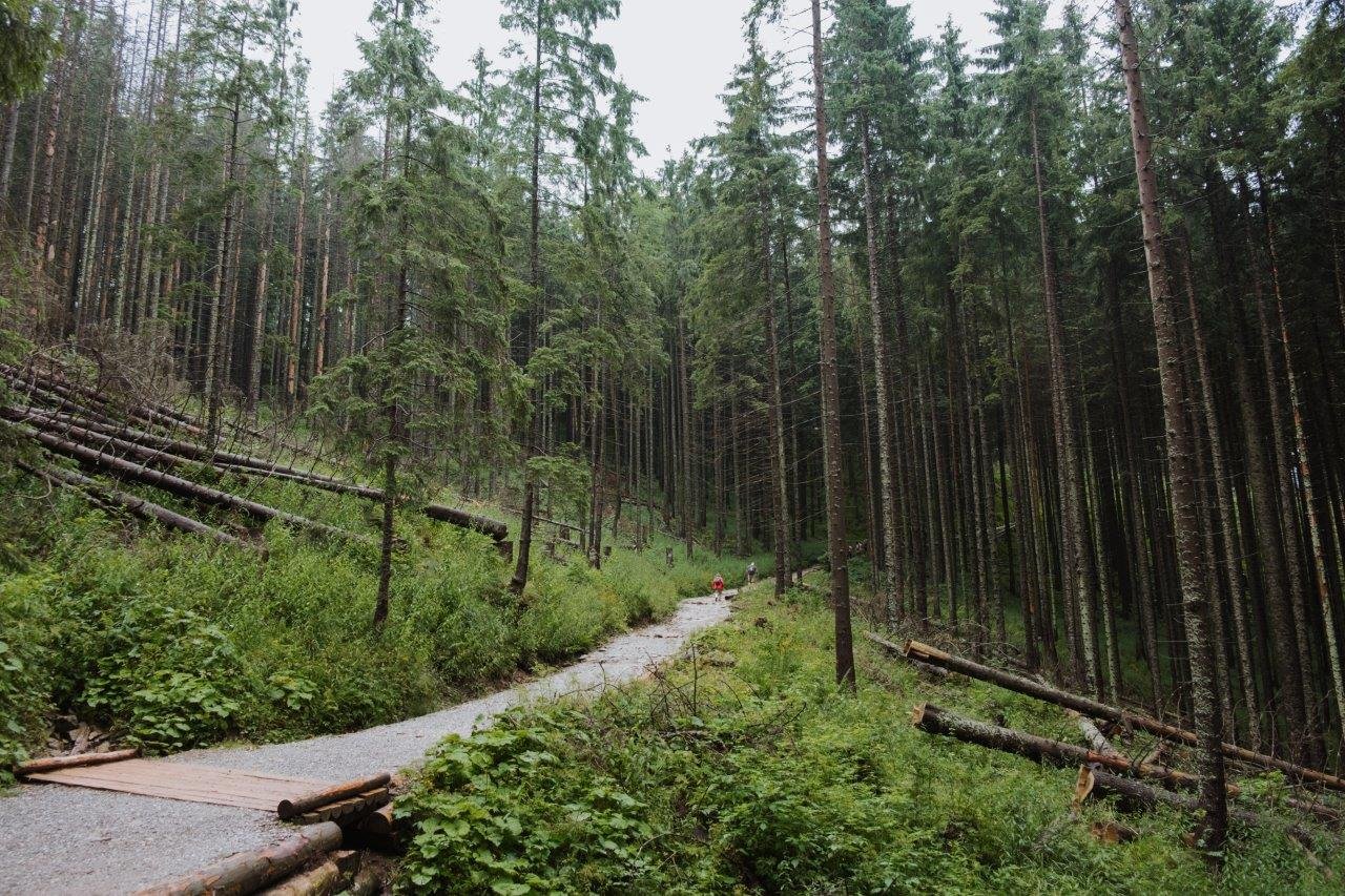 jana meerman Czarny Staw Gąsienicowy tatra national park (2)