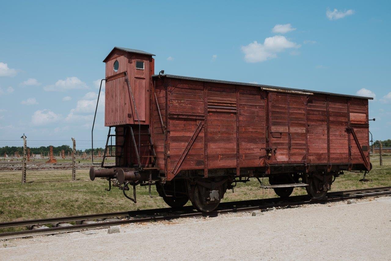 jana meerman auschwitz birkenau poland (15)