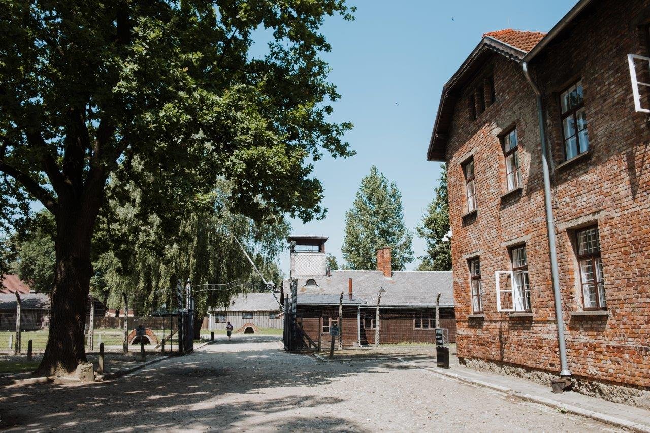 jana meerman auschwitz birkenau poland (2)