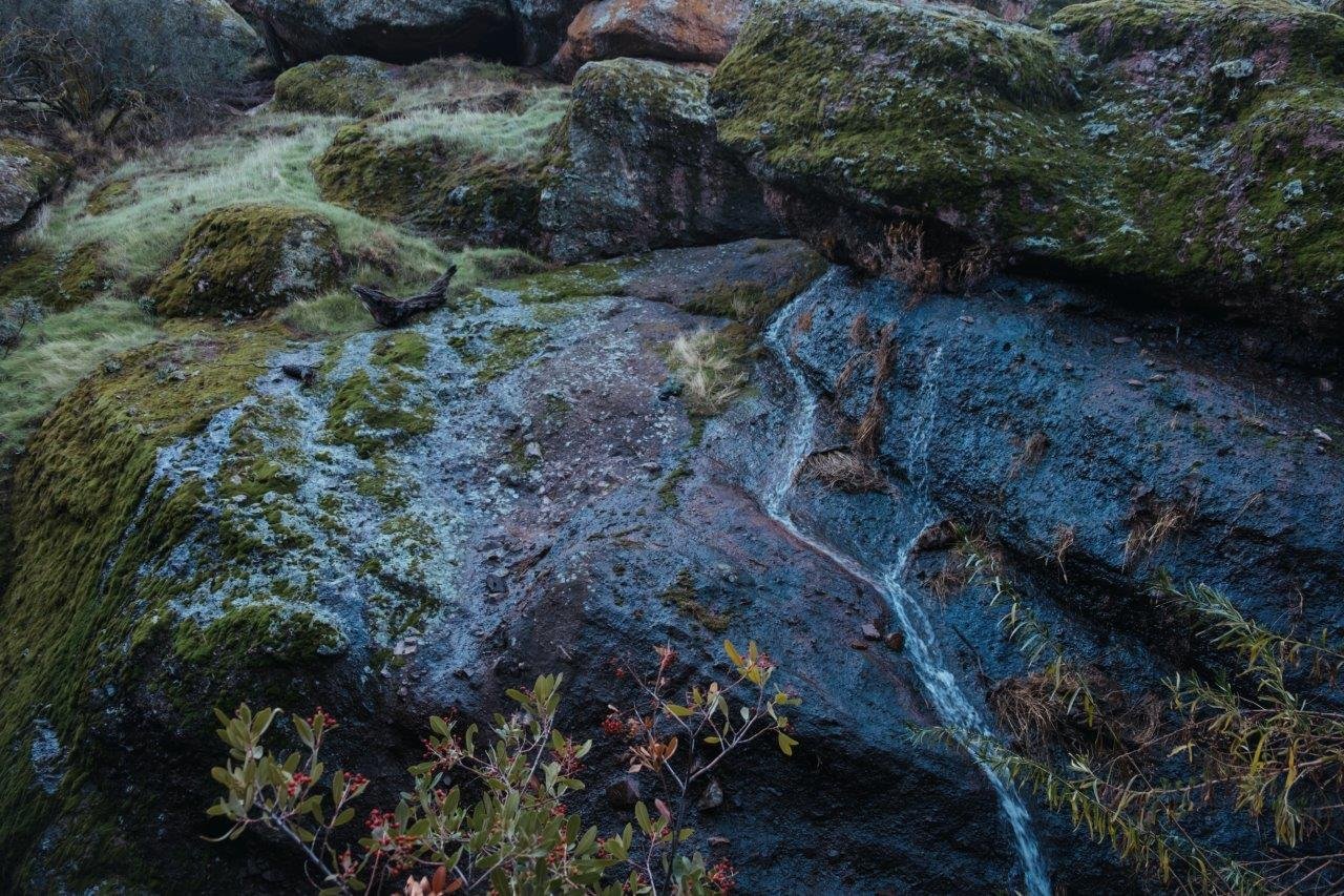 jana meerman bear gulch trail pinnacles national park california (2)