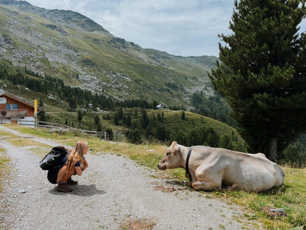 jana meerman zirbenweg innsbruck (1)