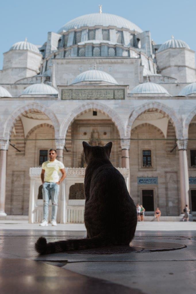 jana meerman suleymaniye mosque istanbul (1)
