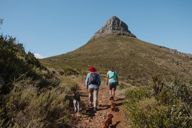 Lion's Head Loop Hike in Cape Town, South Africa | Jana Meerman