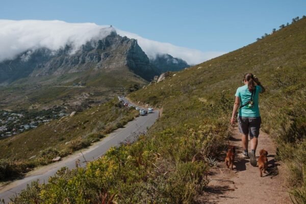 Lion's Head Loop Hike in Cape Town, South Africa | Jana Meerman