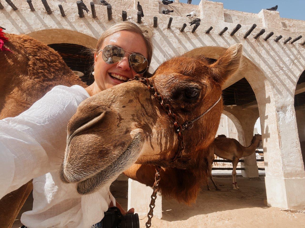 jana meerman Amiri Diwan & Palace Guard Camels doha qatar (5)
