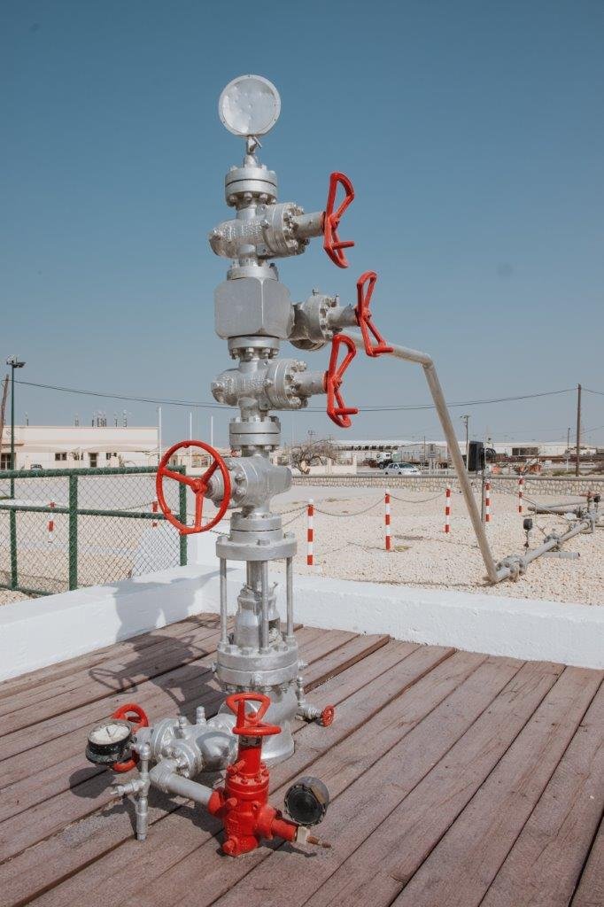 jana meerman bahrain first oil well middle east (2)