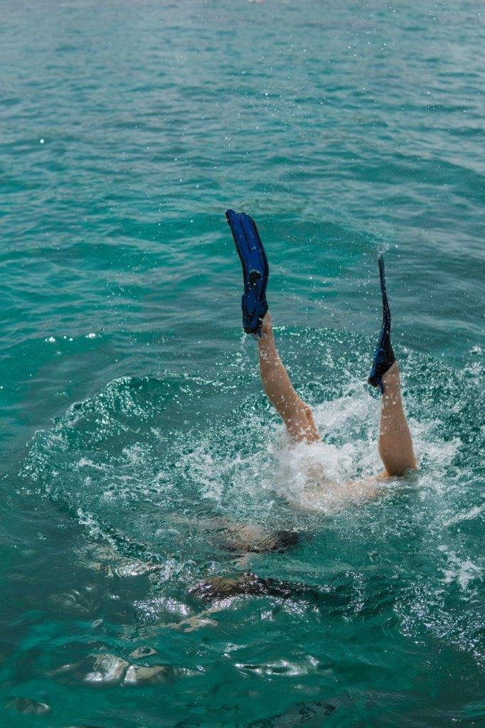 Snorkeling the Daymaniyat Islands, Oman | Jana Meerman