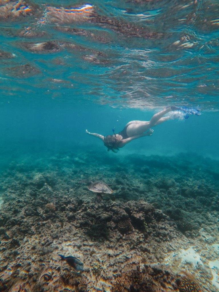 jana meerman daymaniyat islands oman snorkeling (4)
