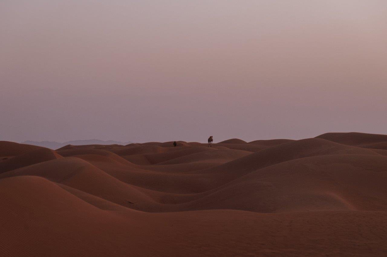 jana meerman sunrise desert nights camp wahiba sands oman (3)