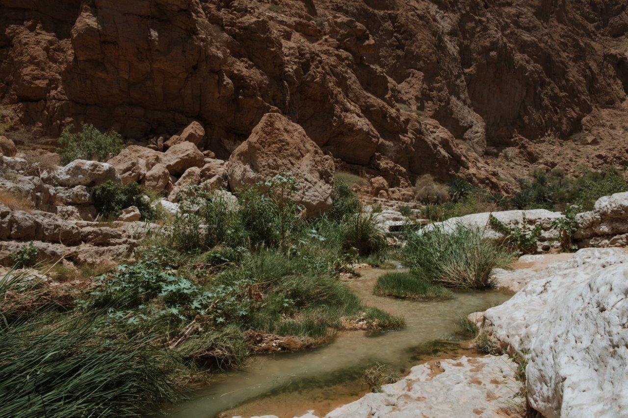 Wadi Shab Hike