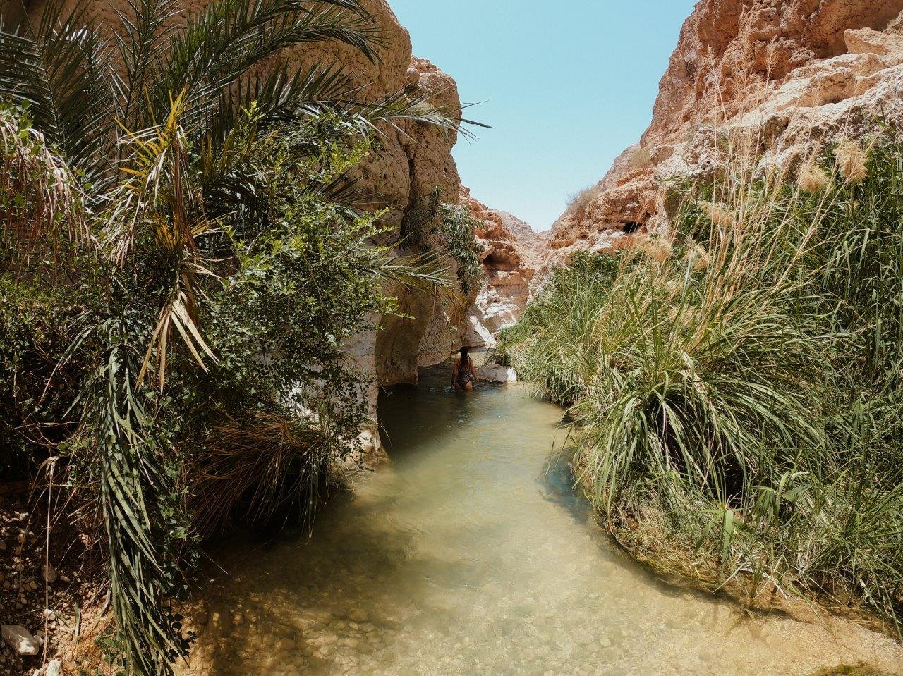 jana meerman wadi shab oman (1)