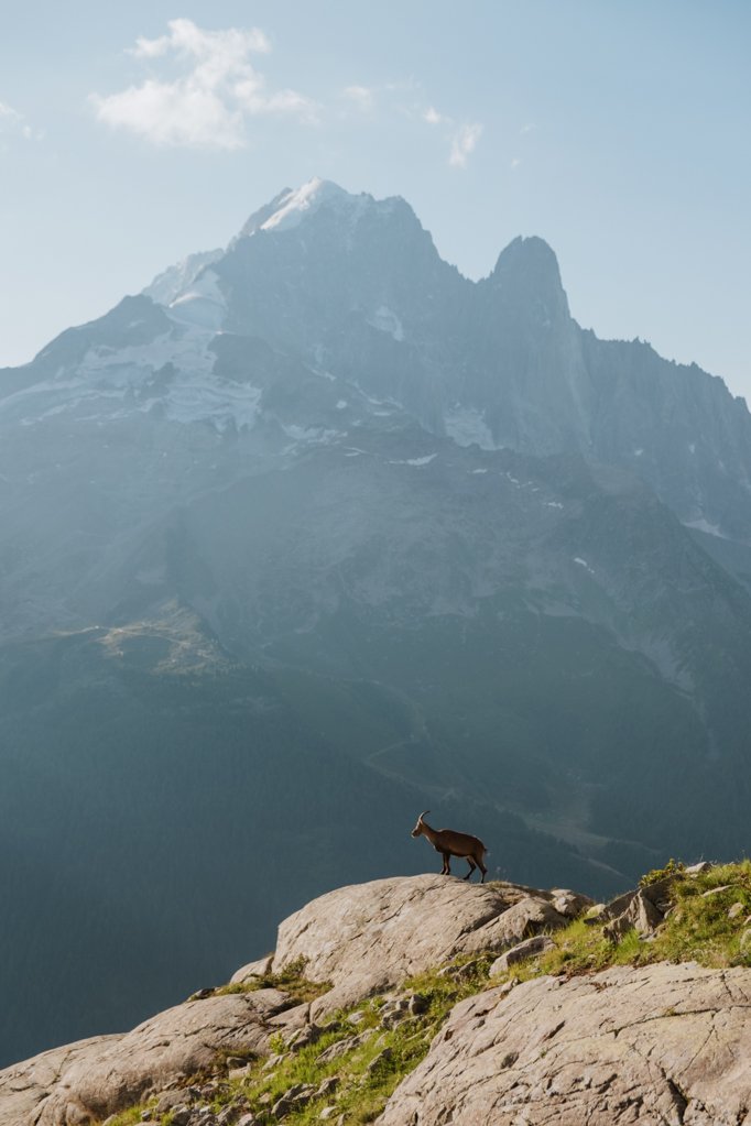 jana meerman lac blanc tour du mont blanc tmb france (1)